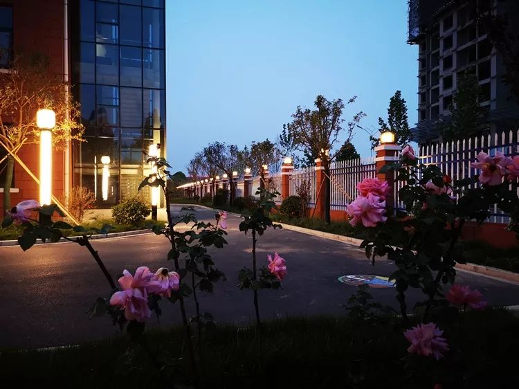 王府学校（运城） 在王府学校的人，自带“温暖体质”