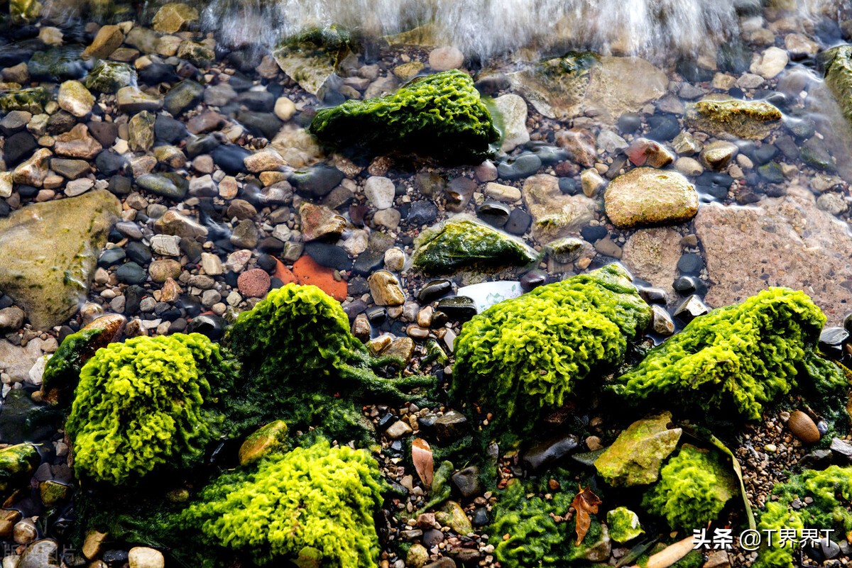 涉及两万四千余人，云南二本批补录封官，专科批录取已开始