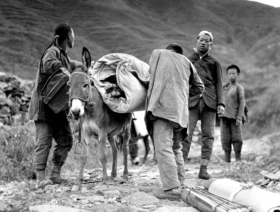 八旬老妪为何穿嫁衣入葬？十几年后，孙儿揭开爷爷离家不归的谜底