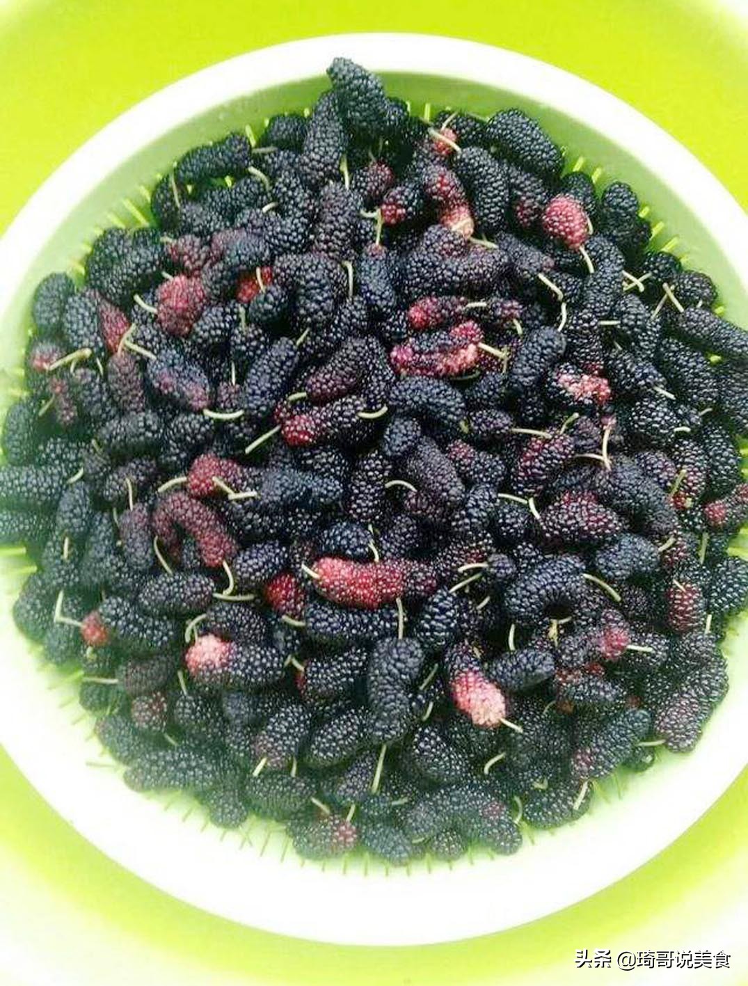 清水洗桑椹，跟没洗一样！水里撒一把，虫卵脏物自动跑出来