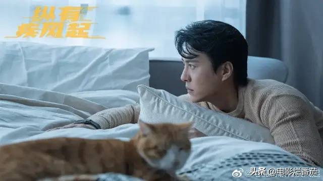 11月新剧来袭，杨幂、杨紫、景甜三美厮杀，靳东、张丰毅强强对决