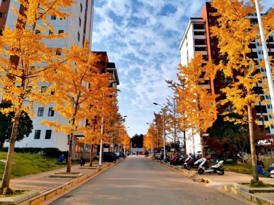 贵州大学图书馆官网（印象大学）