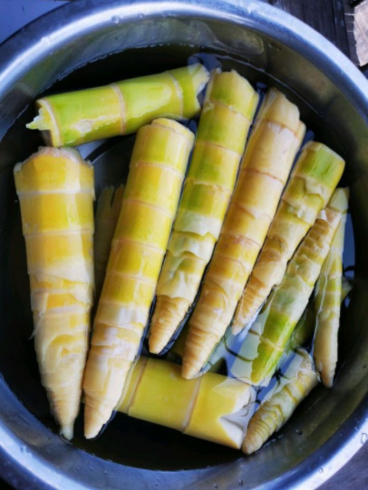 新鲜竹笋怎么冰箱保存保存鲜笋有窍门的2个方法详解