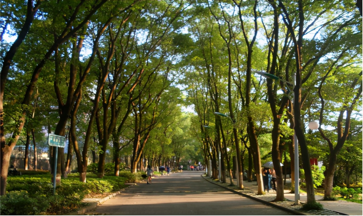 江西财经大学了解一下