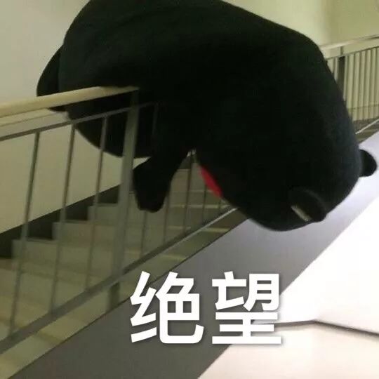 没想到！小学就开始用的QQ邮箱，竟然藏着这么多好功能