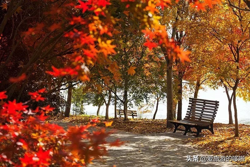 北海道，这里不只有童话般的冬，还有醉人的秋天