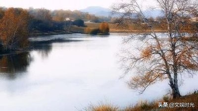 七言律诗的平仄格式有几种?