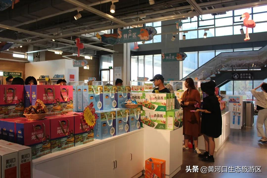 【黄河口生态旅游区】我已最美 欢迎回家