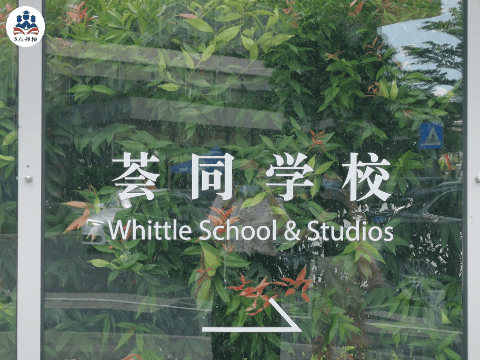 学校的较量：蛇口国际、贝赛思、哈罗、爱文、荟同、国王 你选谁