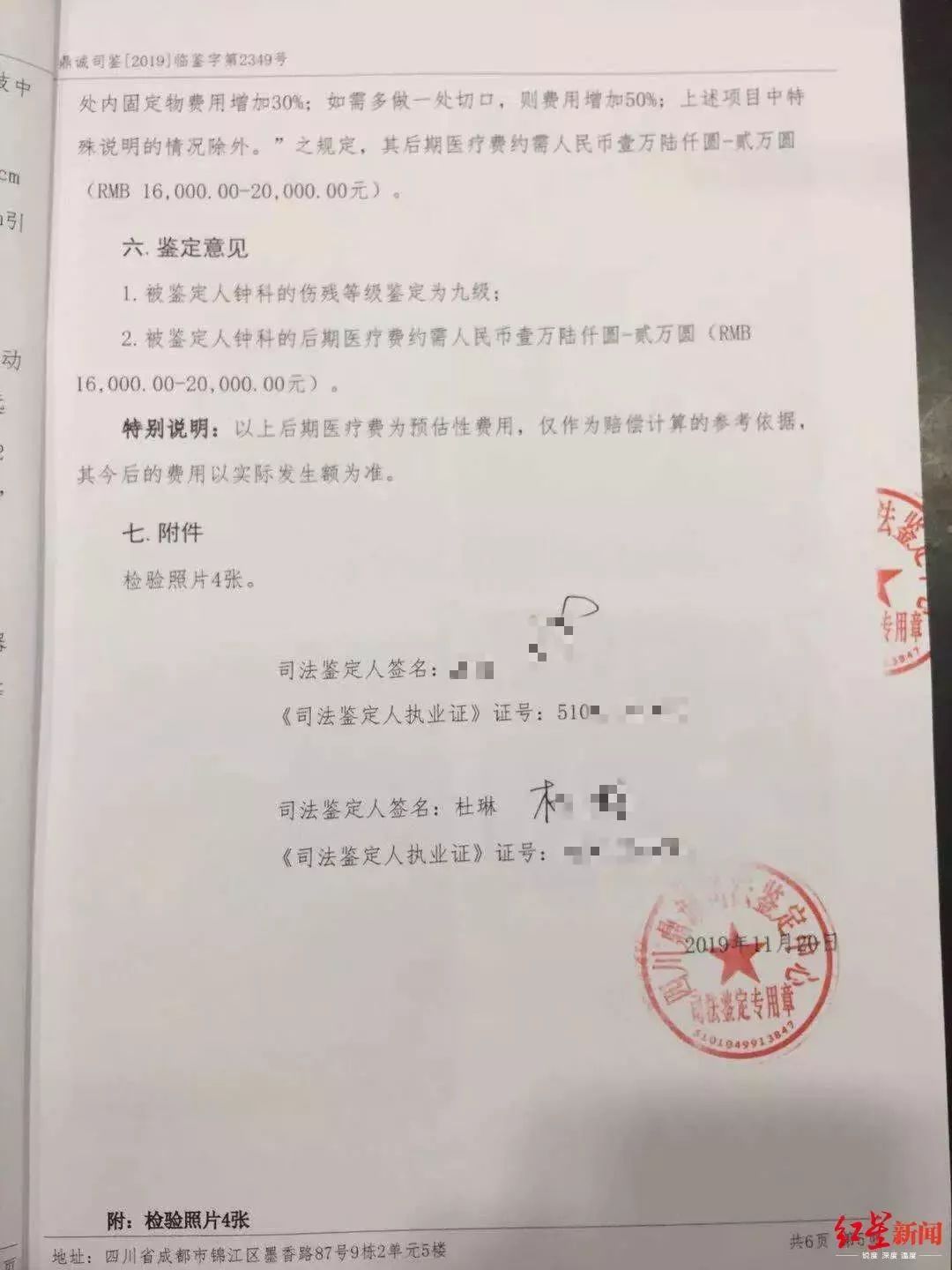 男子下班途中被狗撞倒，8根肋骨骨折！更头疼的是…