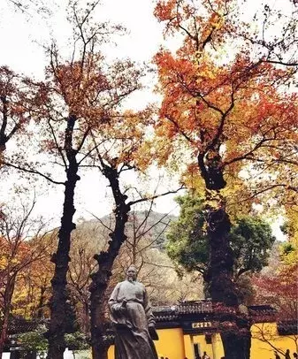 最美不过枫叶红,6个红枫圣地"打包"给你,错过悔一年