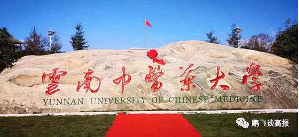 D78：云南省第一集团高校介绍，云大、昆明理工领衔