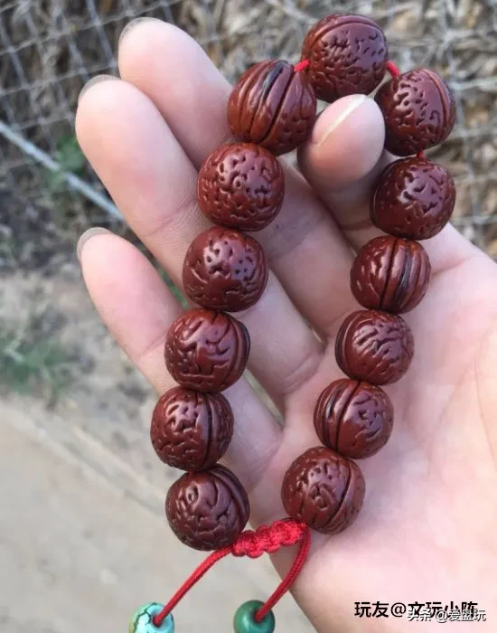 能在山上“白嫖”的10种手串,包浆超美