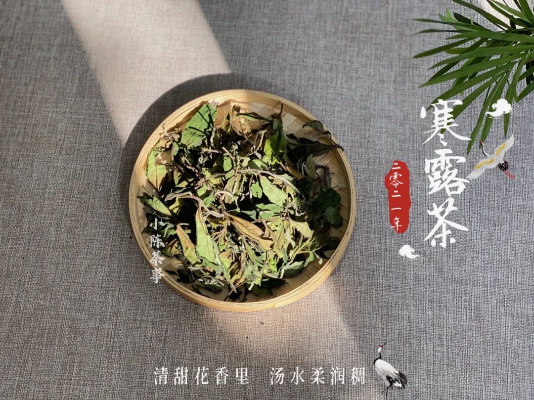 2021寒露茶，素雅若九秋菊，莹莹似月中之月，幽兰之香，清冷芬芳