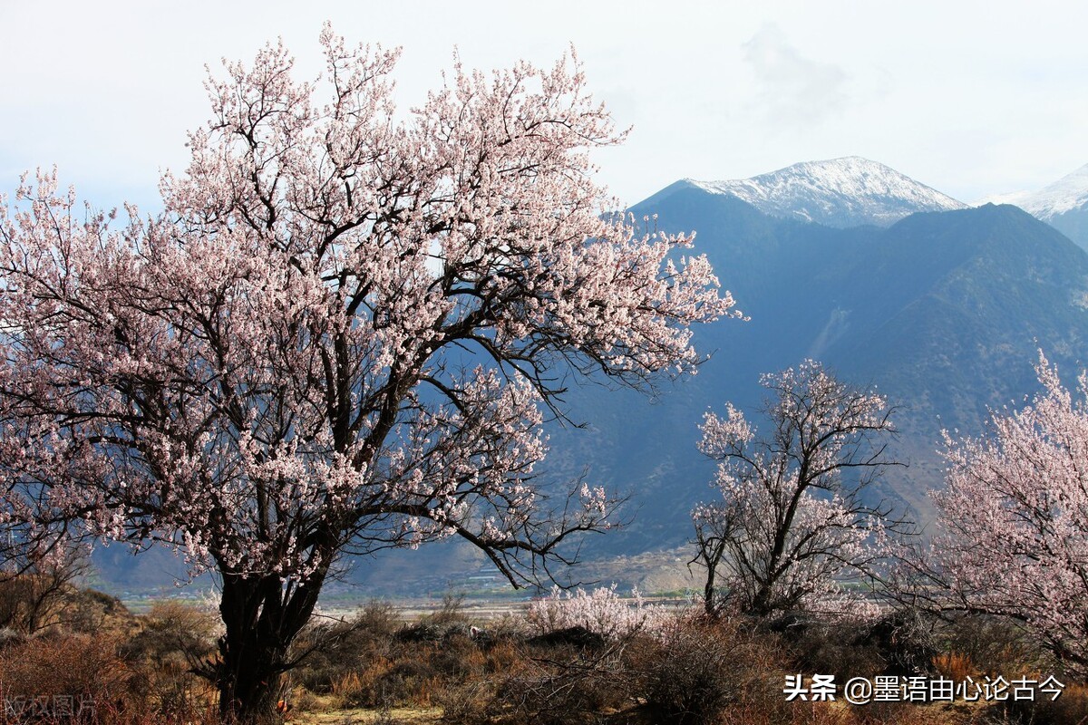 陶渊明与上级死磕，放弃五斗米回家务农，只是晋朝黑暗的一个缩影