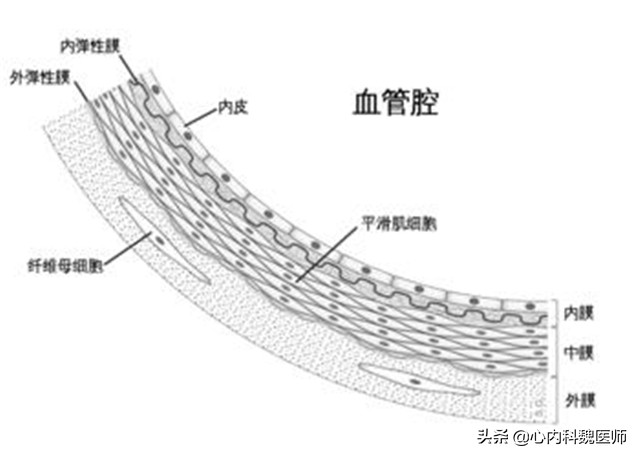低压高，不吃药，做好这3方面工作，血压也能轻松回降