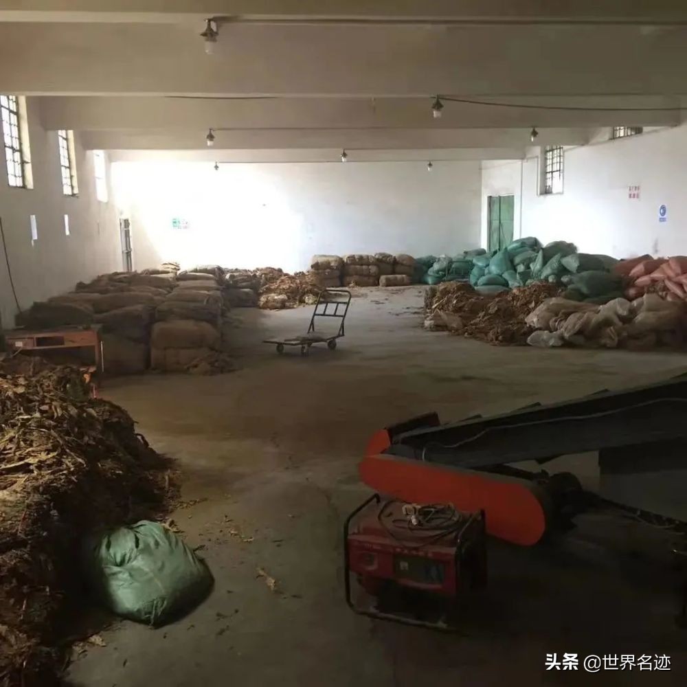 其实在解放之前,云霄就是一个知名的烟草基地,福建市场上的香烟大都产