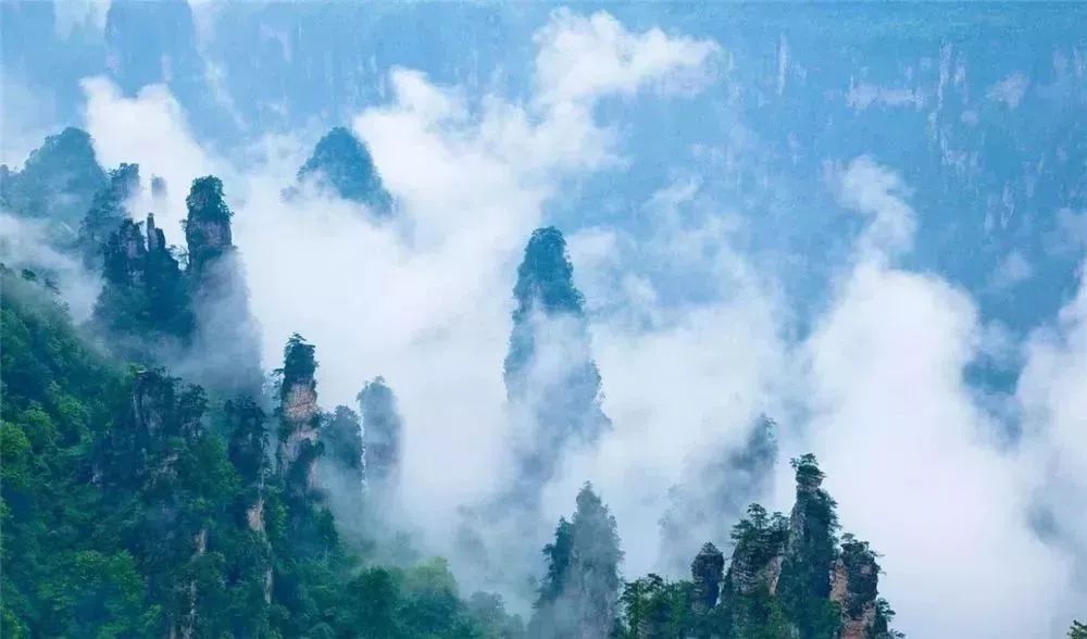 汇总｜截止至今日，2019年已有15个地区公布单招时间