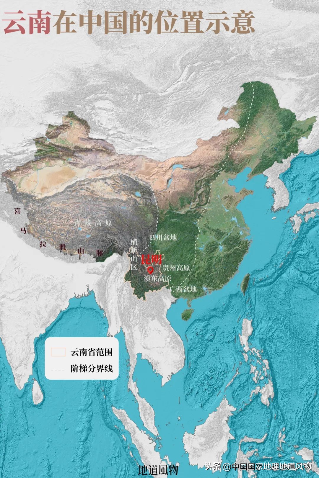 玫瑰、兰花、康乃馨，牡丹、杜鹃、山茶花，云南的花到底有多美？