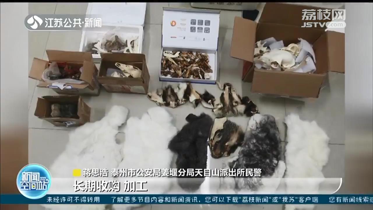 泰州警方工作中发现有收售野生动物制品的案情 追根溯源一网打尽五人