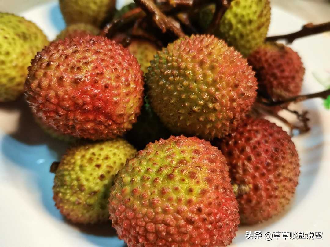 荔枝季节,我们来说说,广东的诗词荔枝,和福建的荔枝传说