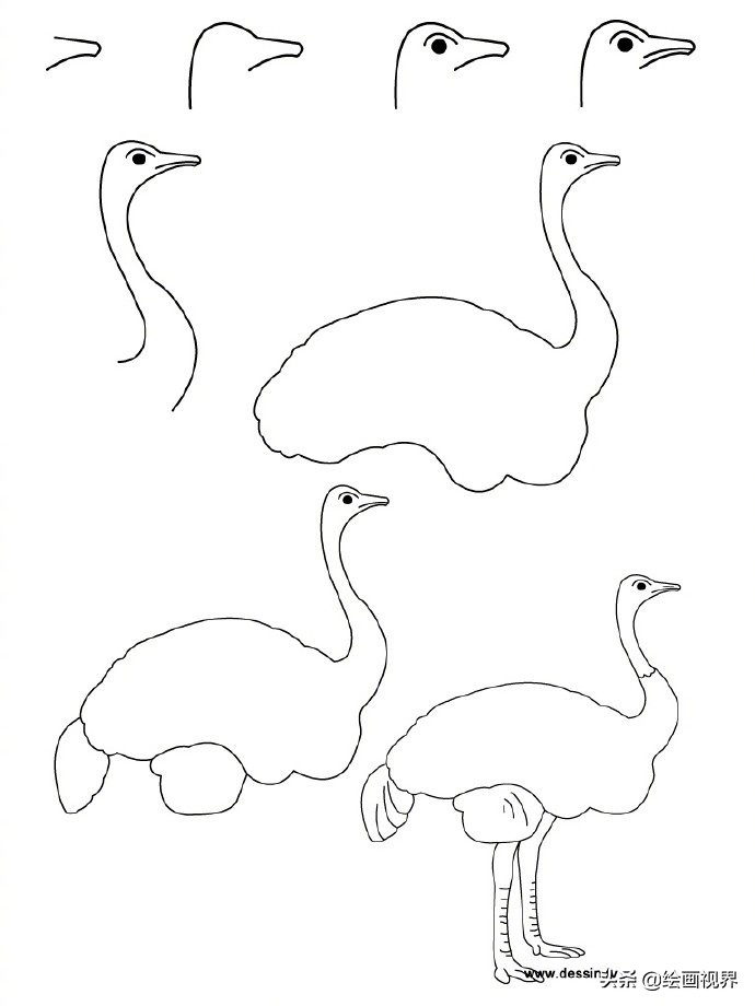 9种动物简笔画线稿教你画,简单易学