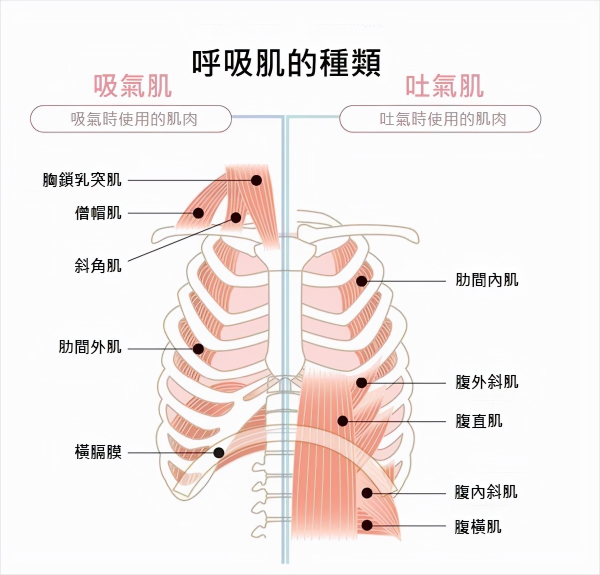 日本人血淋淋的罪证，地图上凭空消失的岛屿！勿忘“国难”毒气战