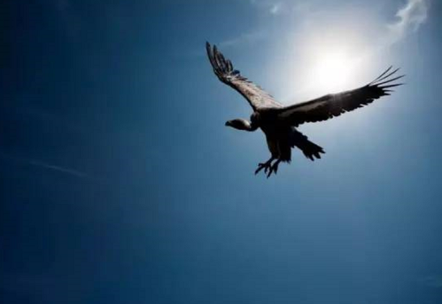 高考狂人张非：两次清华，一次复旦，一次北大，如今过得令人意外