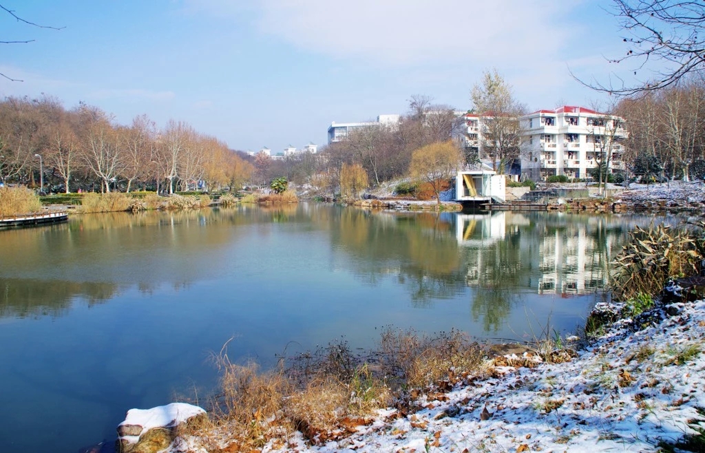 重磅！教育部最新通知：南京工业大学新增3个本科专业！