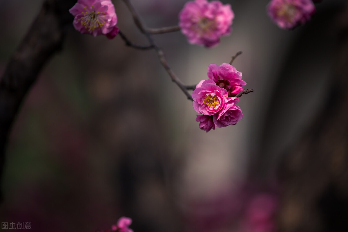 泪眼问花花不语，乱红飞过秋千去，作诗如何意层深、语浑成？