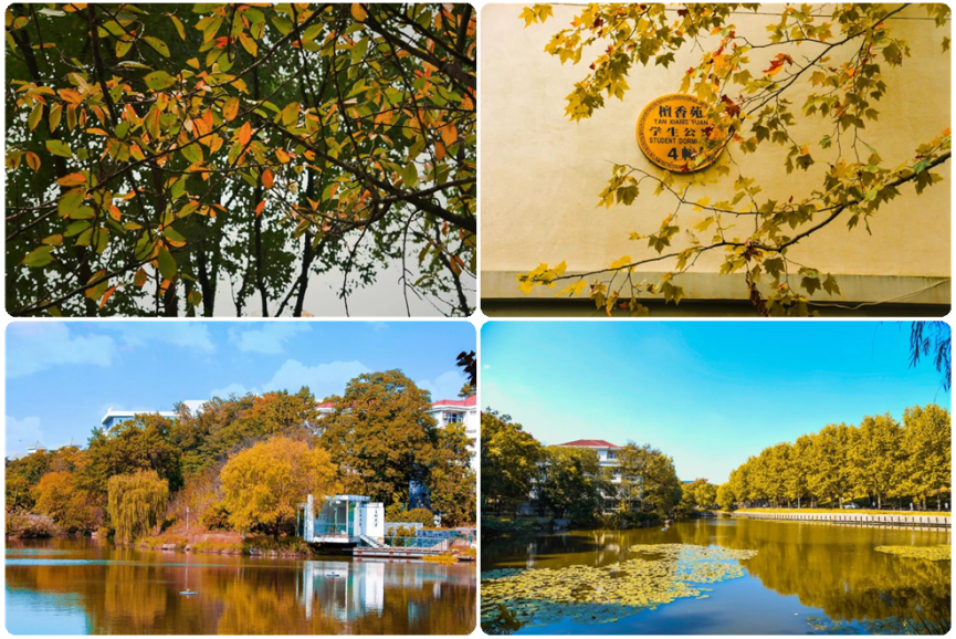 冲上热搜、登上央视、攻克世界性难题，南京工业大学实力如何？就6个词！