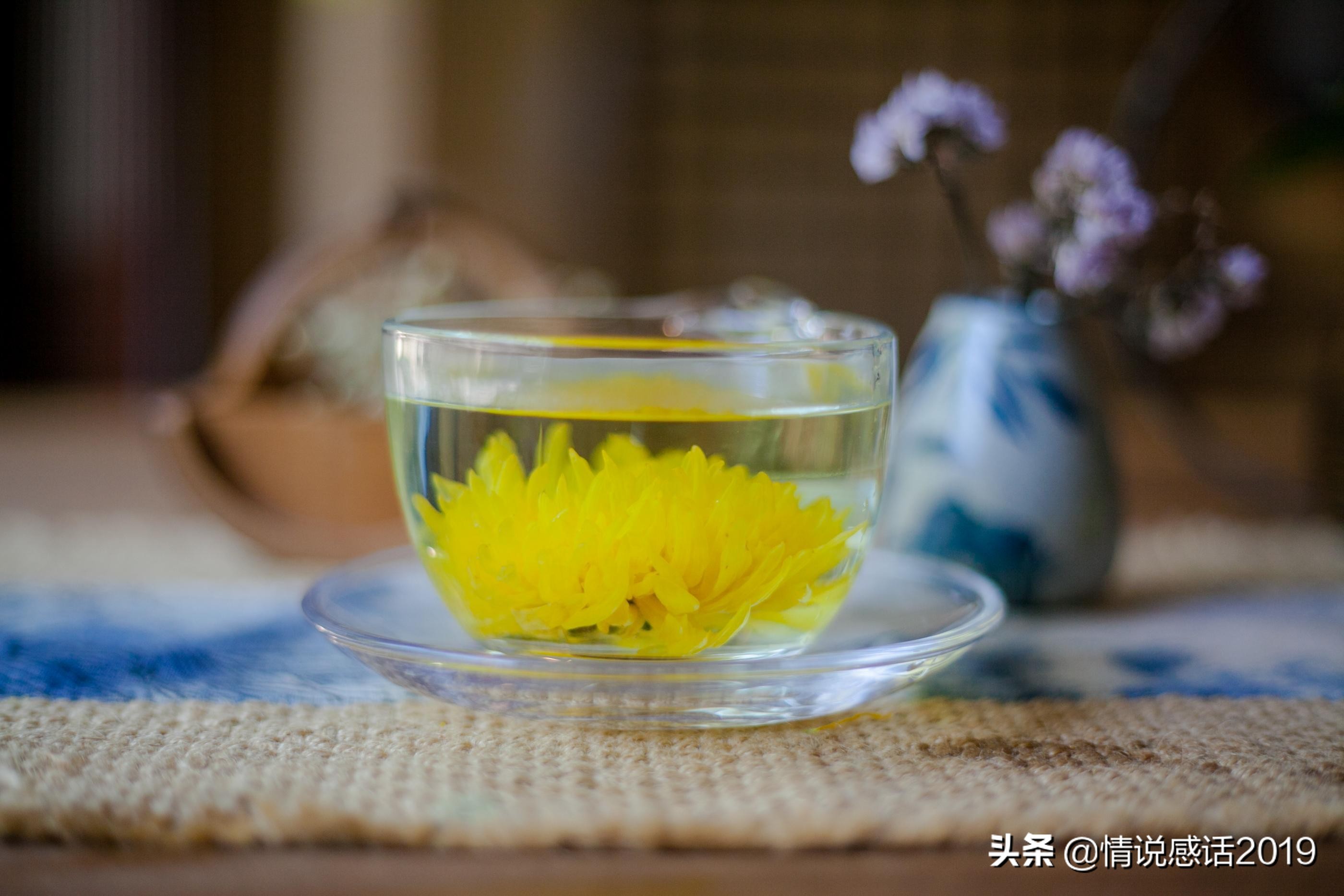 煮一壶菊花茶,敬努力的光阴,敬执着的生命