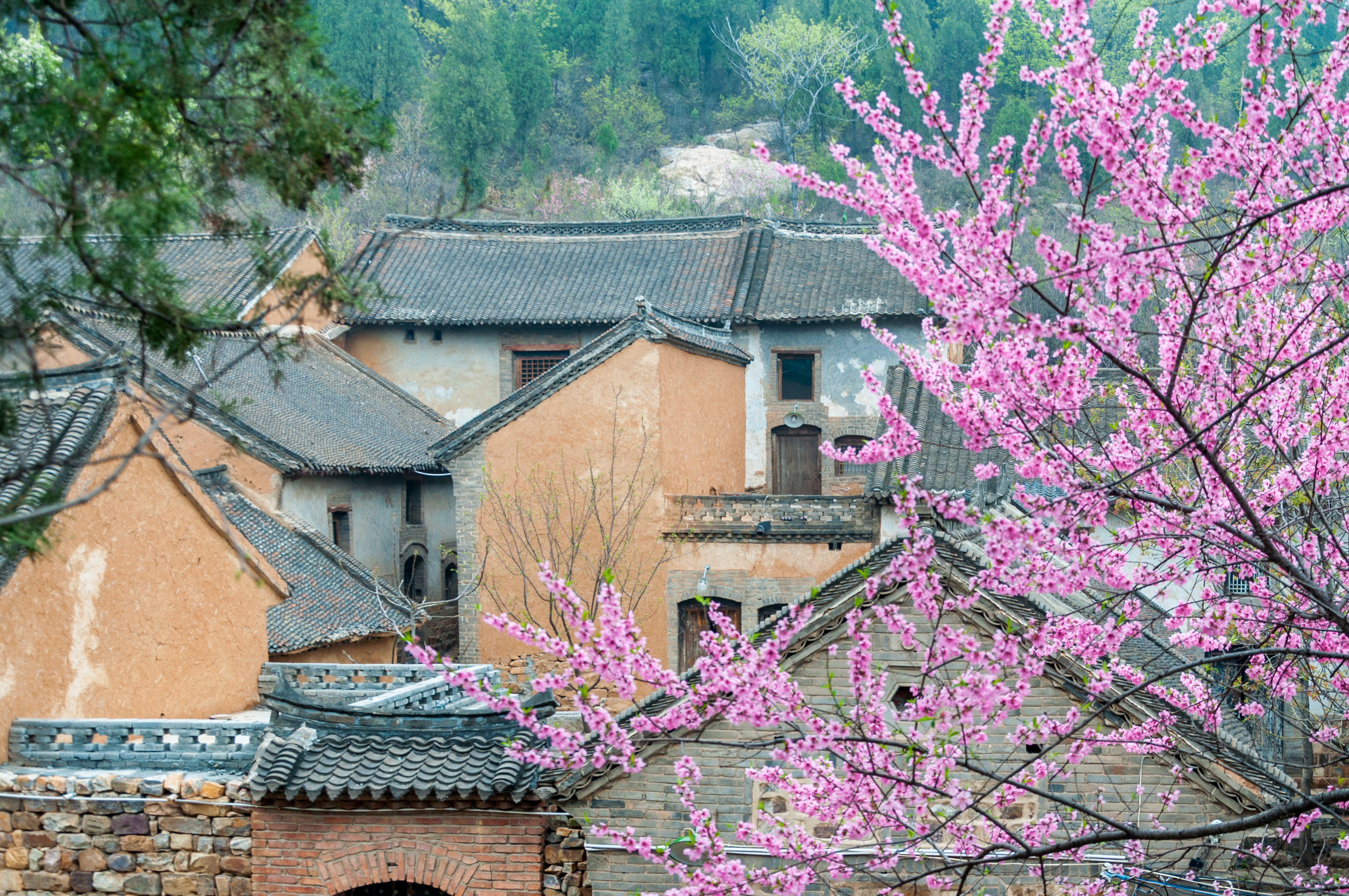 元好问在嵩山时的诗文交游