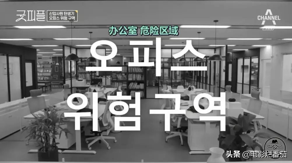 豆瓣9.5分，韩综变化翻天覆地，这场职场生存记实在太好看了！