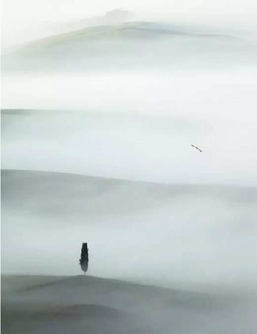 北斗照夜空，留白处藏星河万象