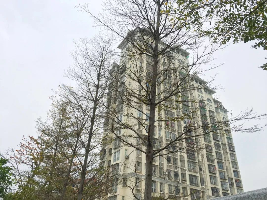 老破小一平10万+！我们走遍厦门18所名校，为你曝光最贵学区房！