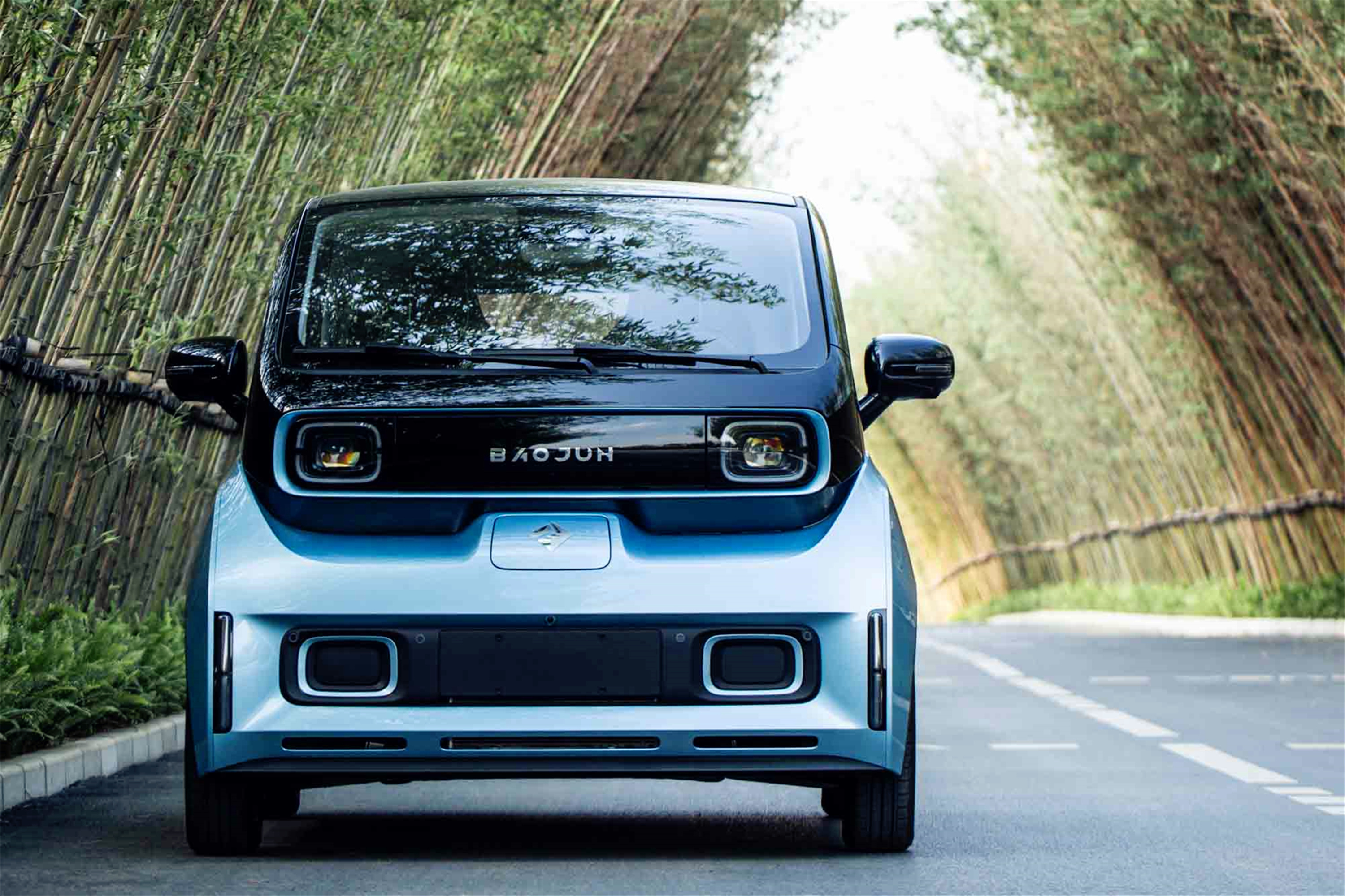 八万内最好电动汽车(续航300公里以上) - 四帝国车市