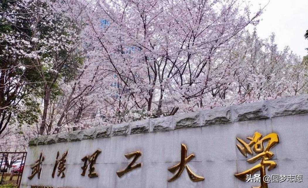 武汉理工学院（被叫做）