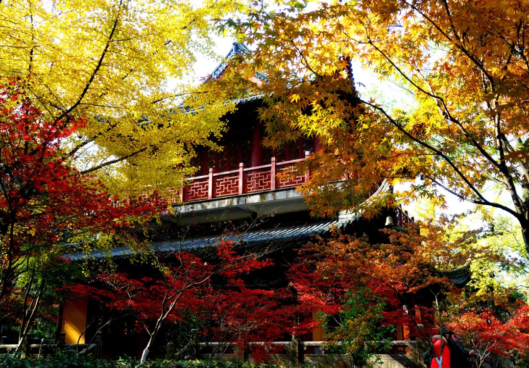 太美了!10个愈秋愈美的小众旅行地,错过只能再等一年