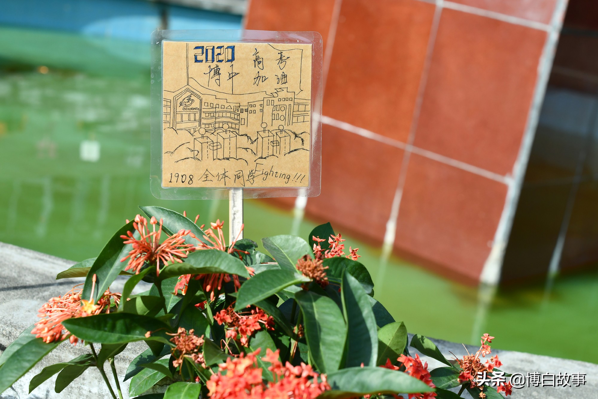 广西博白县中学做了大量工作，确保考生以最佳状态参加高考