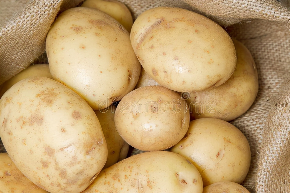 储存土豆有诀窍，分享一个土方法，不变绿不发芽，放一冬天也不坏