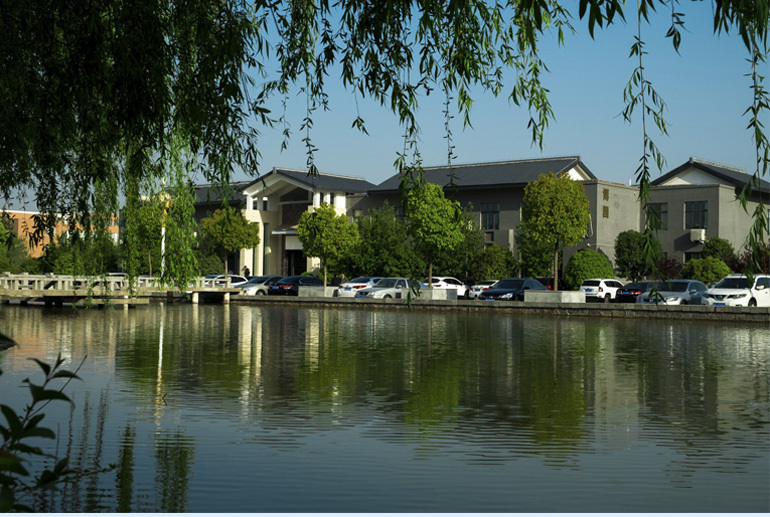 来了！河南省最新大学排名，河科大表现很出色，郑大屈居第二