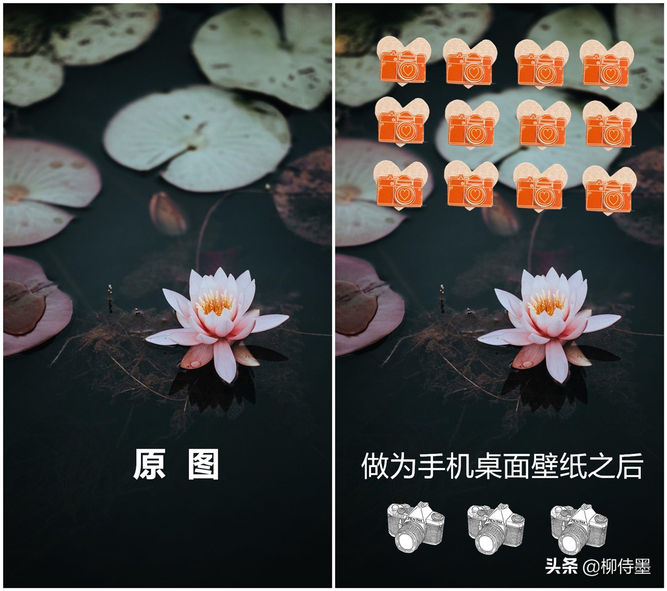 佳人美景甚好，如何拍成屏保？13张示例图片分享6个摄影技巧