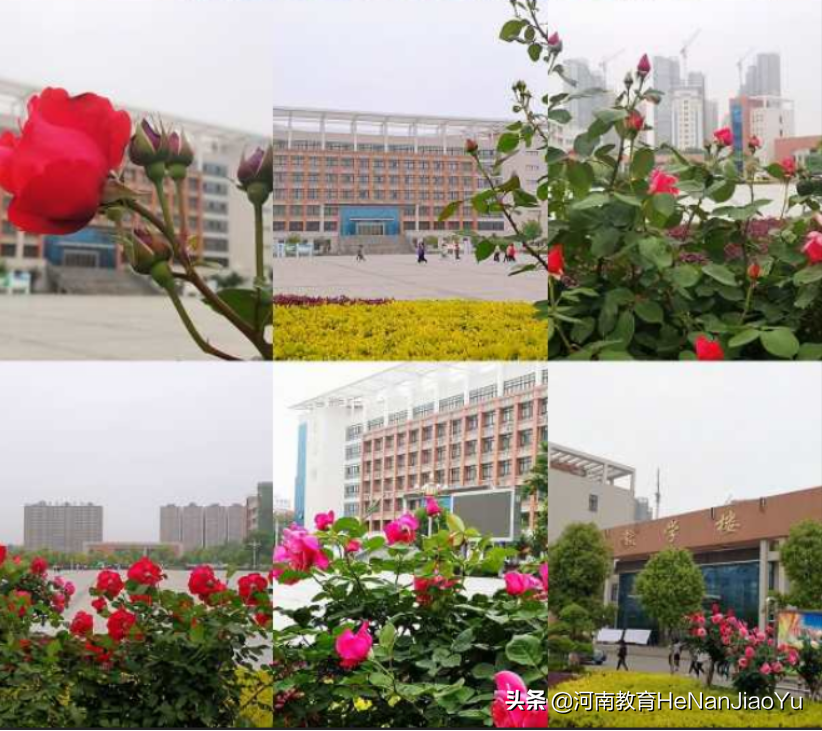 高职扩招院校——南阳科技职业学院