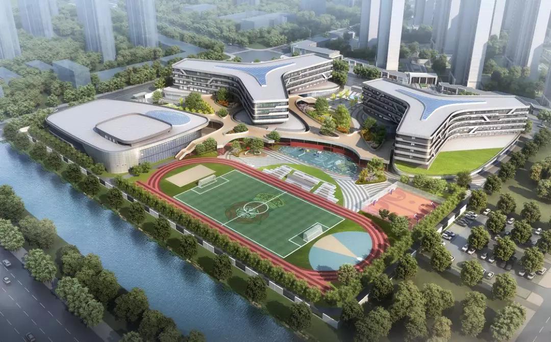 公立和私立到底差在哪，二者之间的区别，你知道吗？