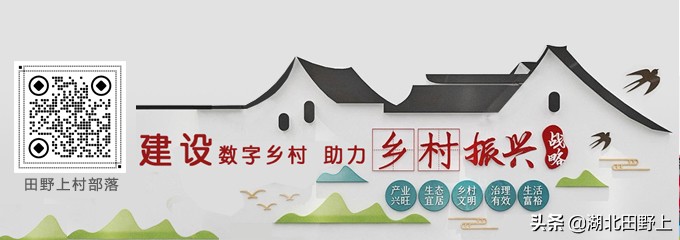 田野上團(tuán)隊(duì)回訪(fǎng)美麗的分鄉(xiāng)鎮(zhèn)插旗村