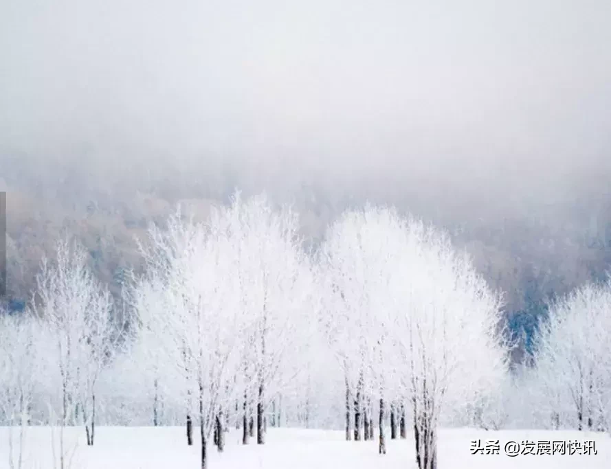 发展君带你寻找浓浓年味——东北篇