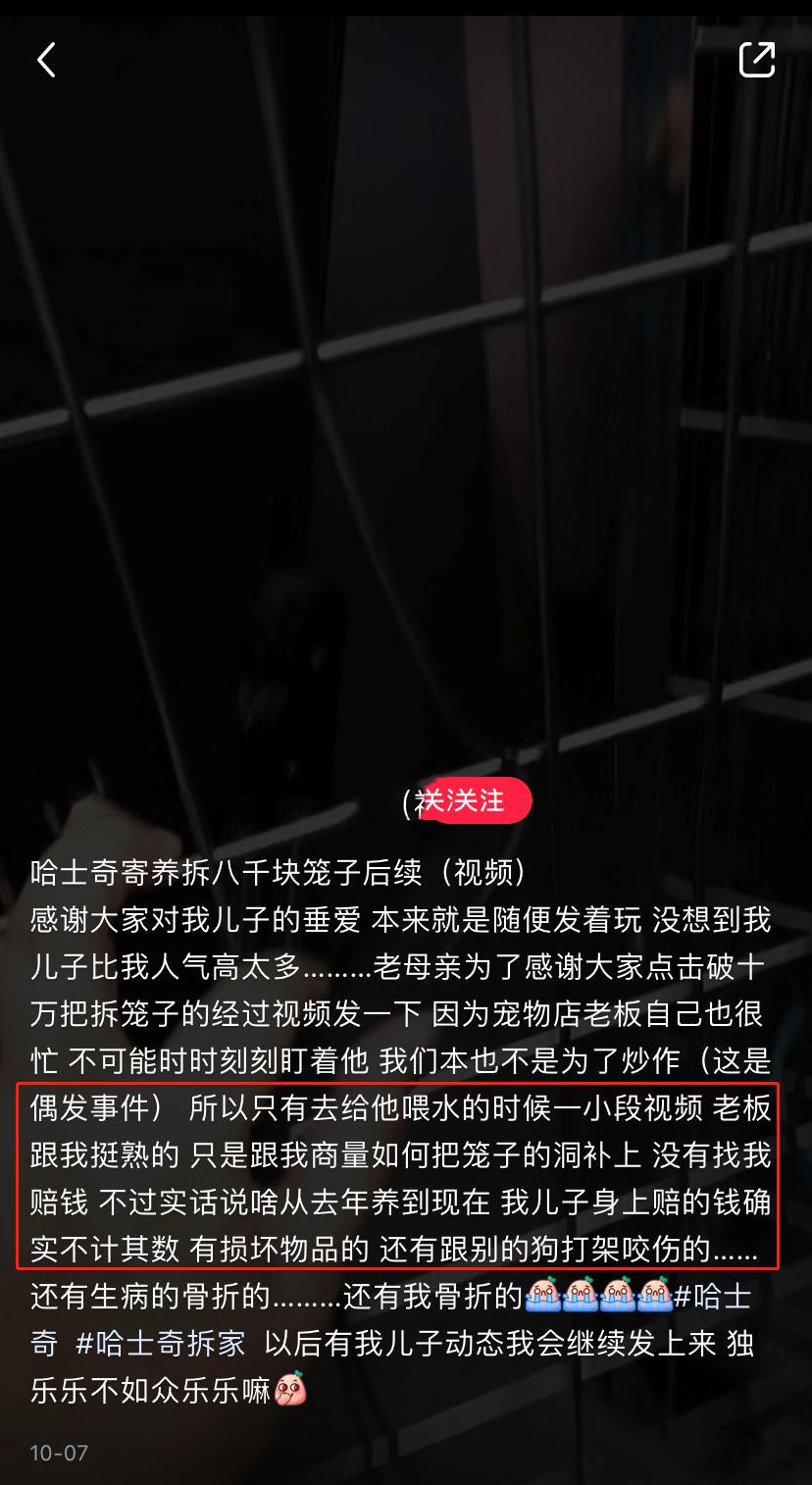 哈士奇圖片,哈士奇圖片搞笑