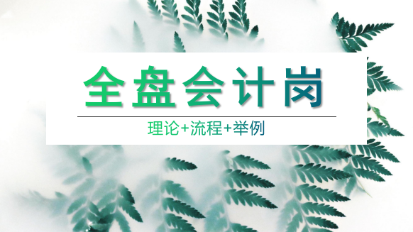 “全盘会计”解读，萌新必看，快收藏，这波操作优秀！