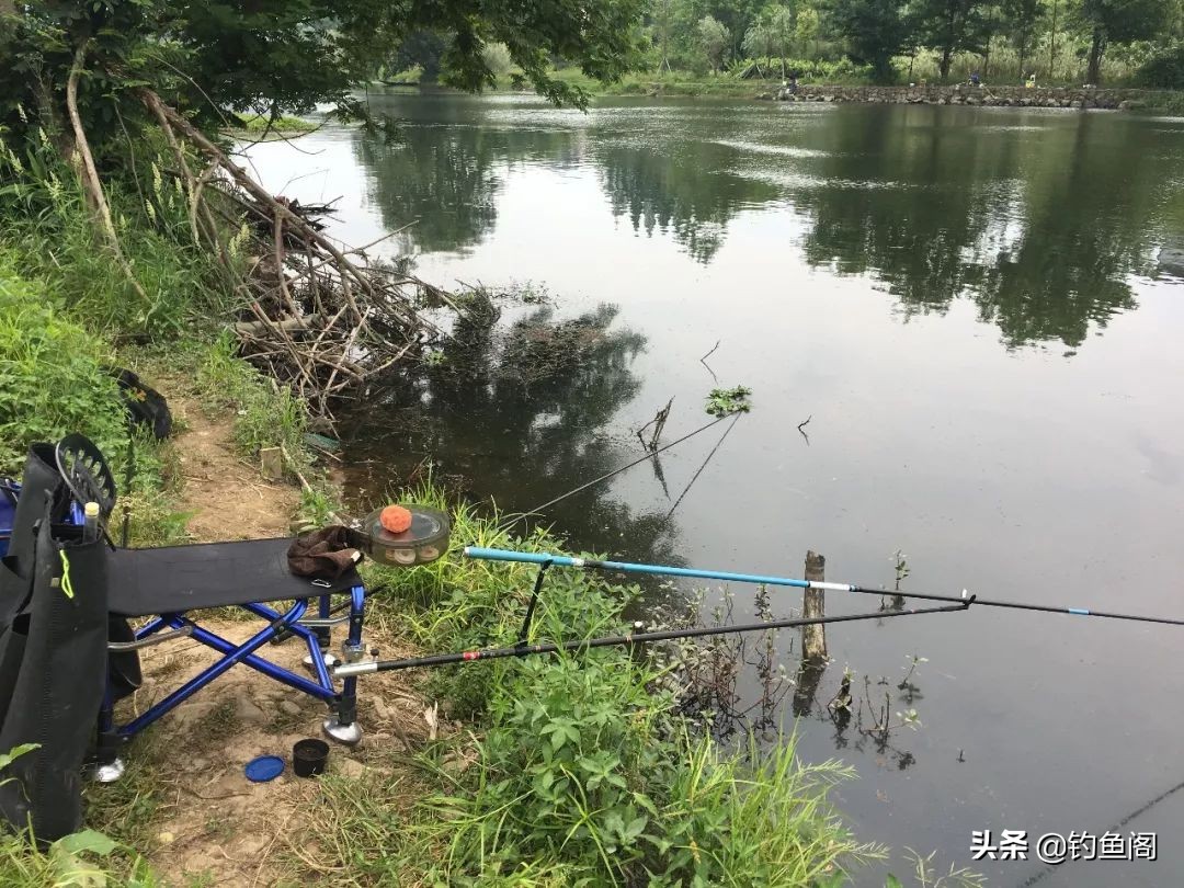 新手钓鱼渔具选择指南：1000块钱买一整套装备，够不够